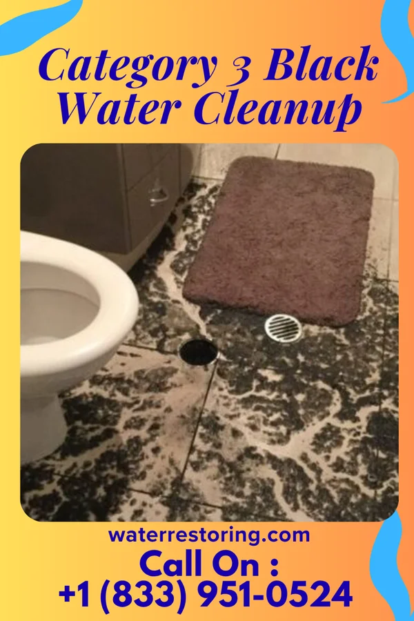 Category 3 Black Water Cleanup in West Point, IN