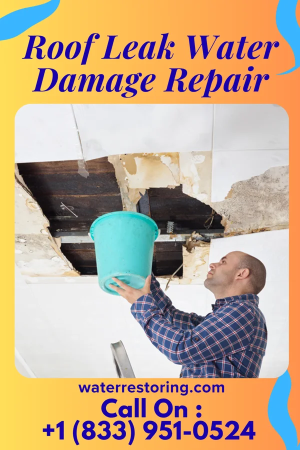 Roof Leak Water Damage Repair in West Point, IN